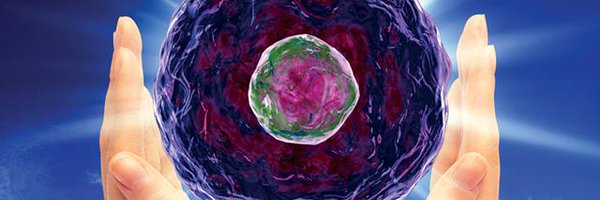 Zonglab Profile Banner