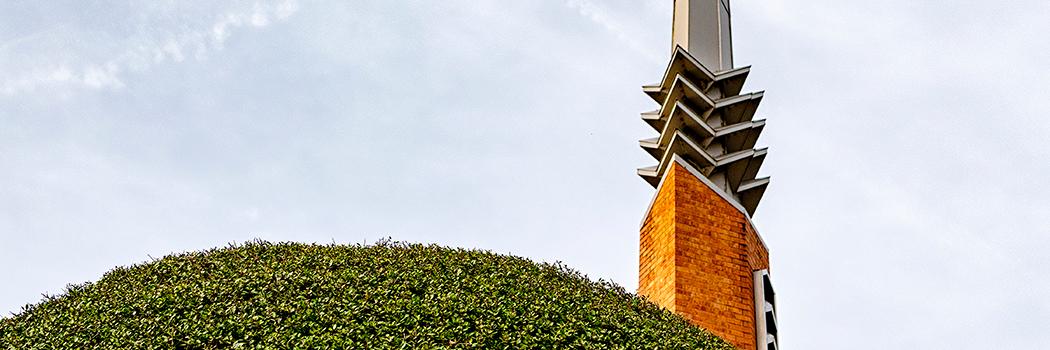 Preston Hollow Advocate banner