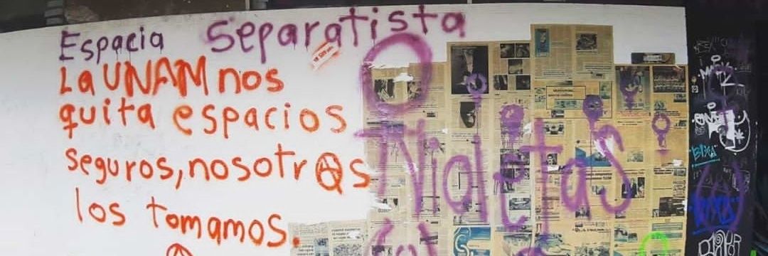 Colectiva Violetas FES Aragón banner