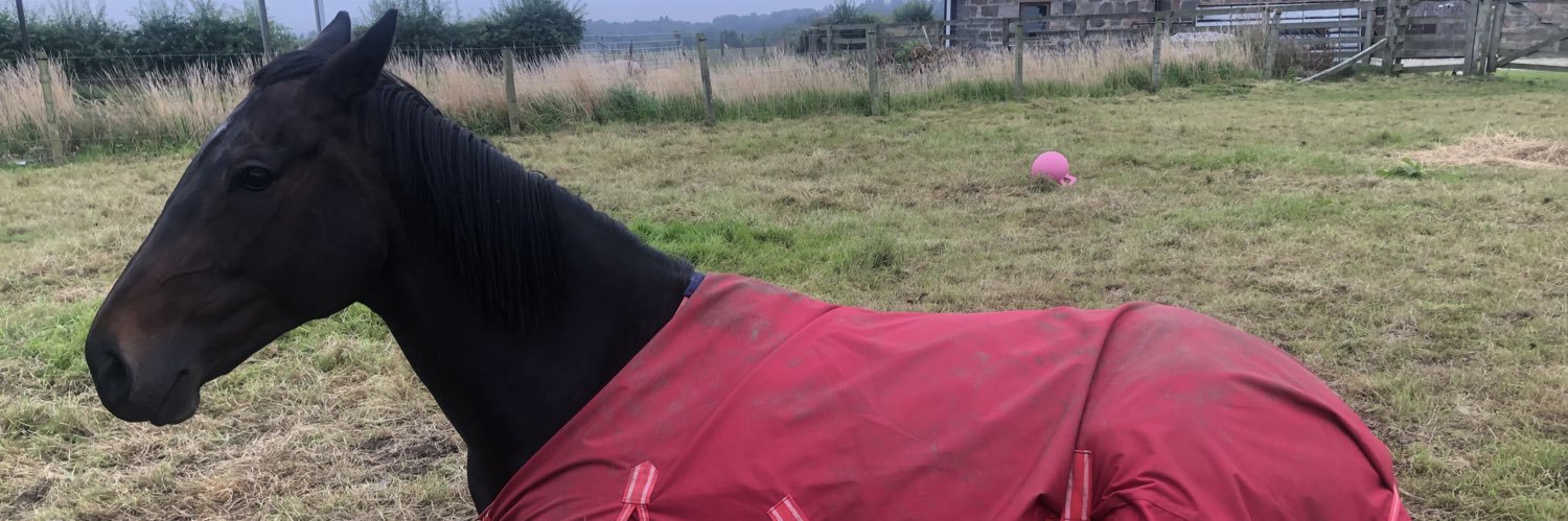 Sam Seabrook-Stockley banner