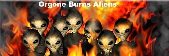 god’s most evil animal banner