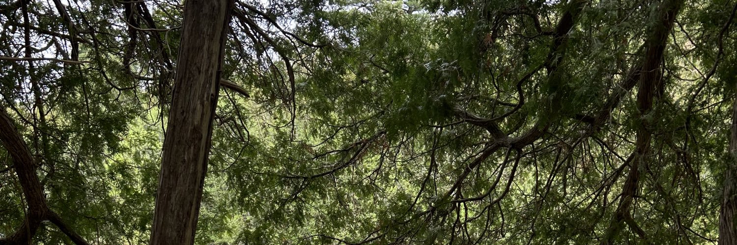JaneKehc's profile banner image
