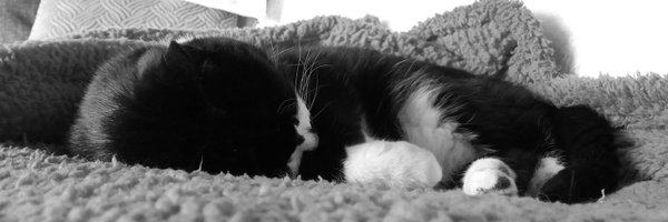 KayGreg49730854 Profile Banner