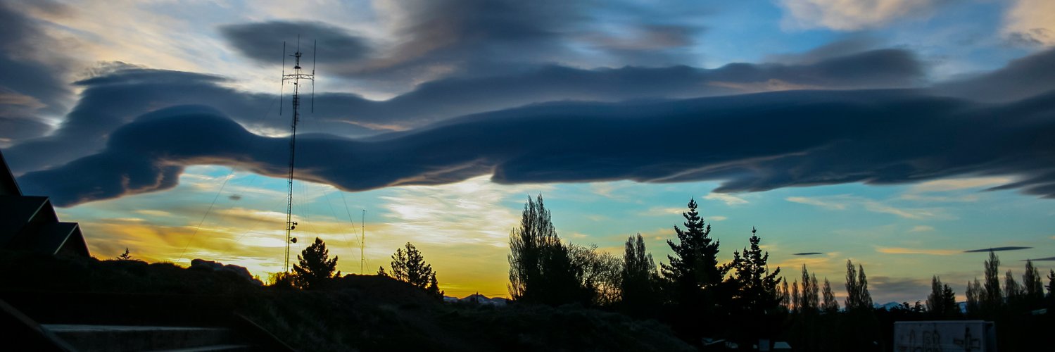 Alia Ali, food-adjacent banner