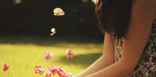 silviadhn_'s profile banner image
