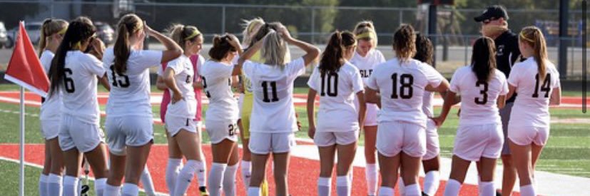 AVWS Captains 2022 banner