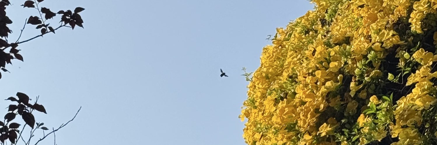 vickymderitis's profile banner image