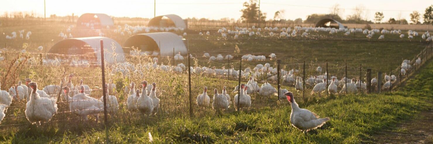 GunthorpFarms's profile banner image