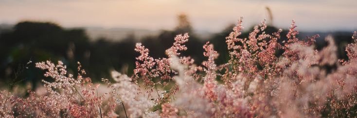 jaydenlarae's profile banner image