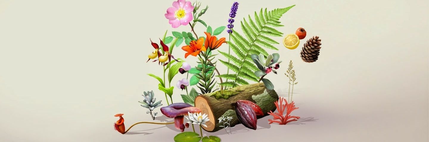 rosazemouri's profile banner image