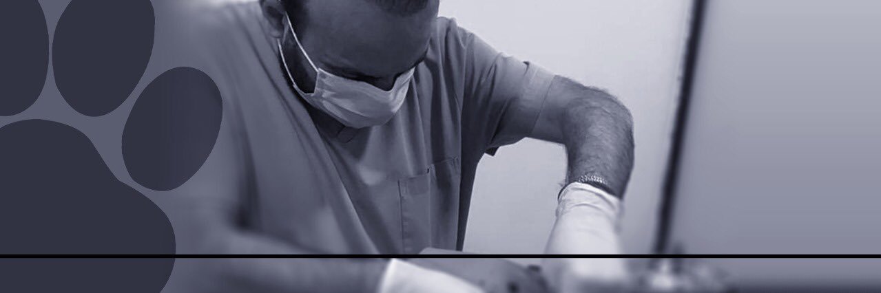 Dr Ihab Chaaban banner