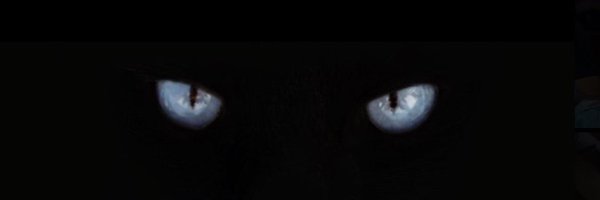domanijackson1 Profile Banner