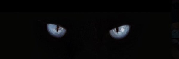 domanijackson Profile Banner