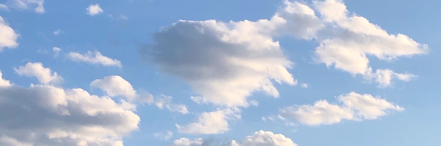 courtbott's profile banner image