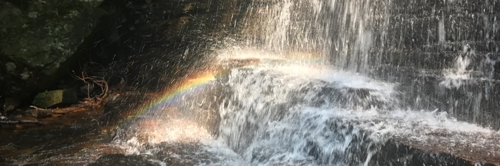 JessicaWLillard's profile banner image