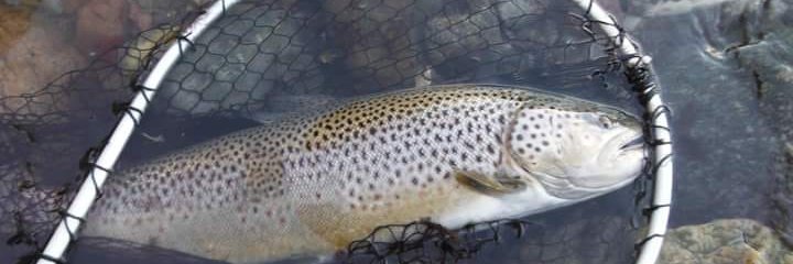 Mort1Jacobsen's profile banner image