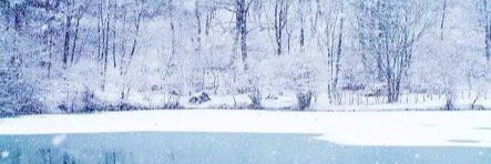 dare to banner