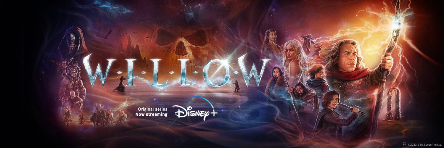 Willow banner