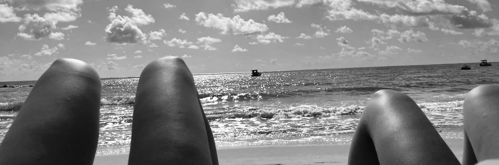Carolzinha banner