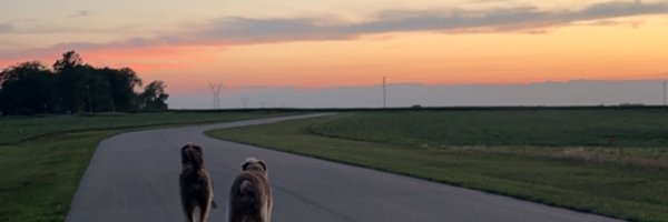 sailorrhall Profile Banner