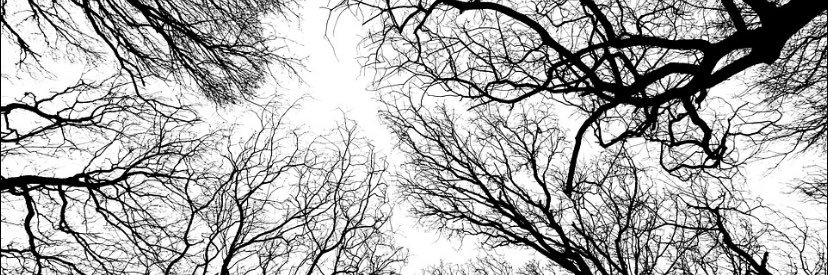 alanluisjb's profile banner image