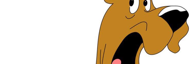 DaniPolloDiablo's profile banner image