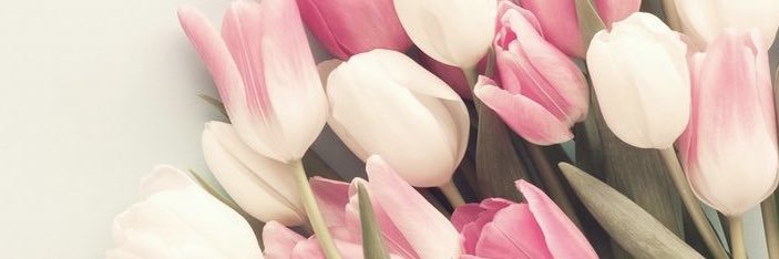 Auds_are's profile banner image