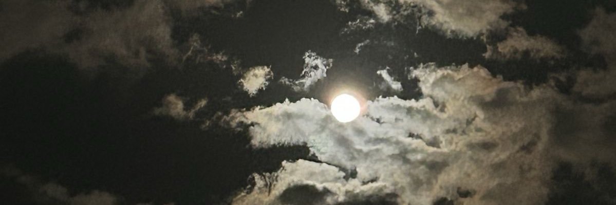 qswtzman's profile banner image