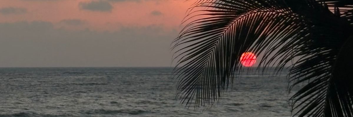 aandrader_'s profile banner image