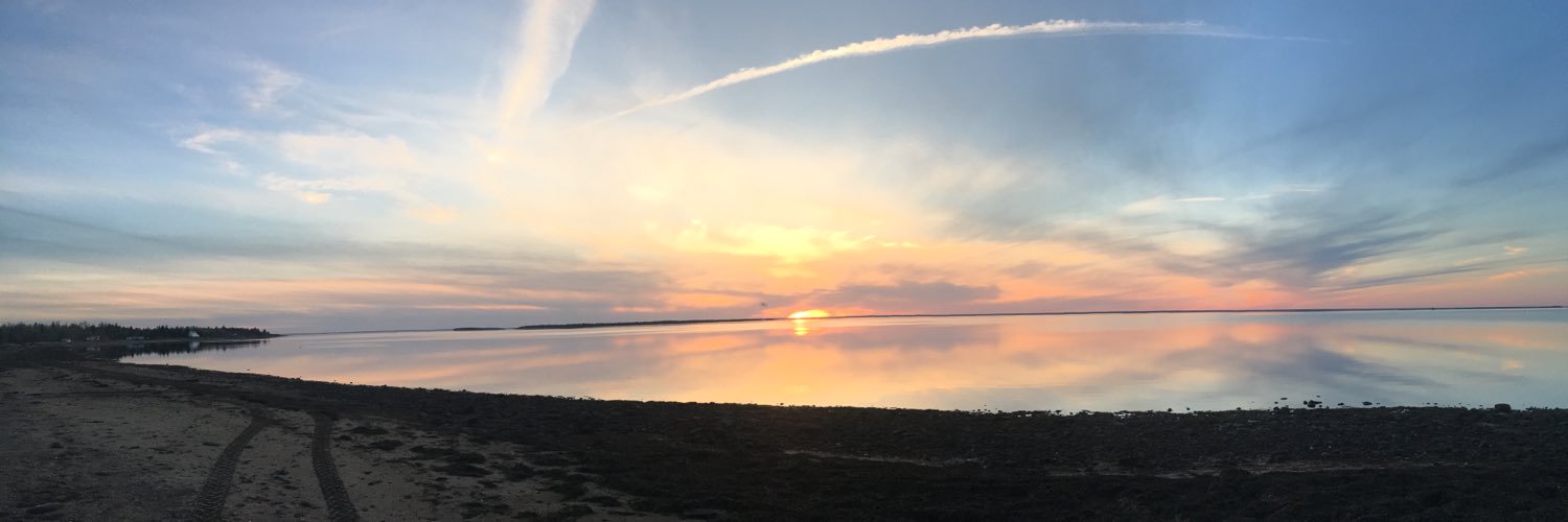 DoucetRenee's profile banner image