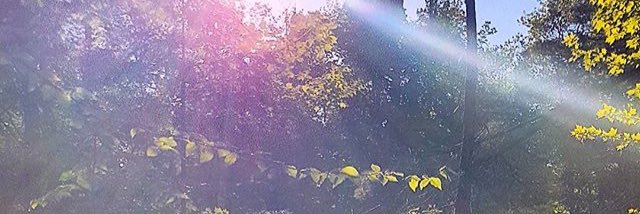 saravilla_'s profile banner image