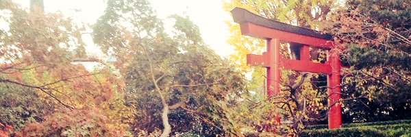 stomoshi_ Profile Banner