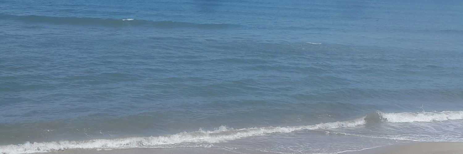Danery Carranza banner