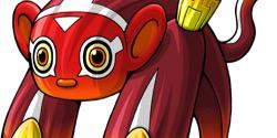 ZennecFox's profile banner image