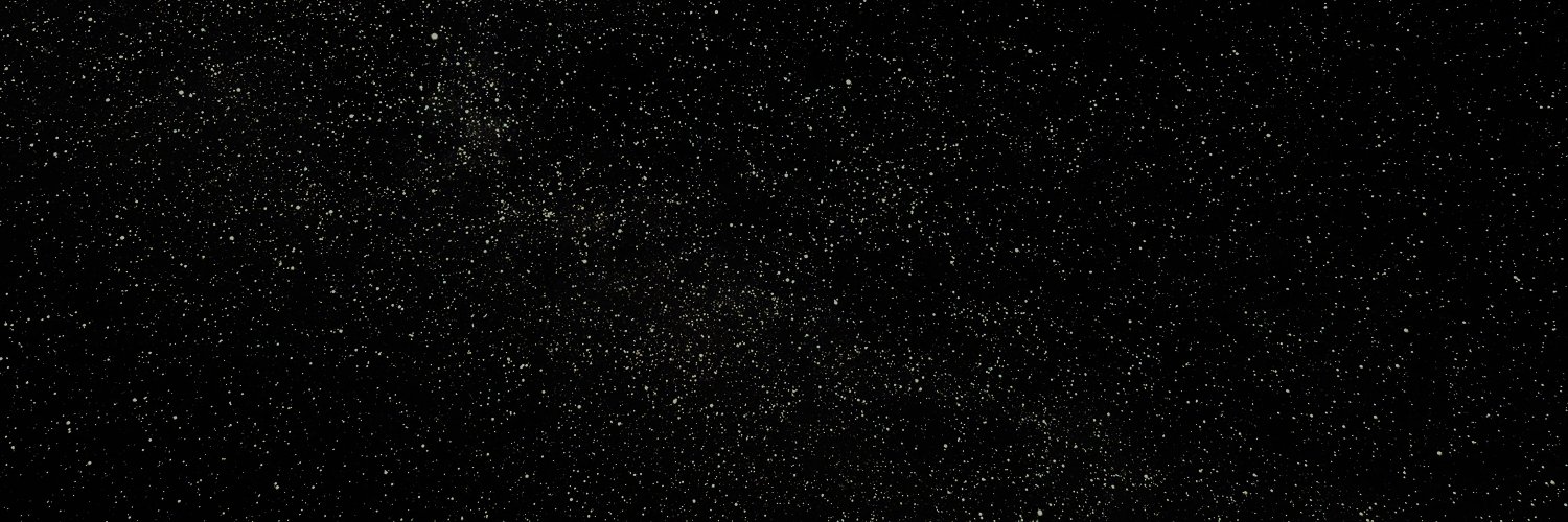 Newmoon Capital banner