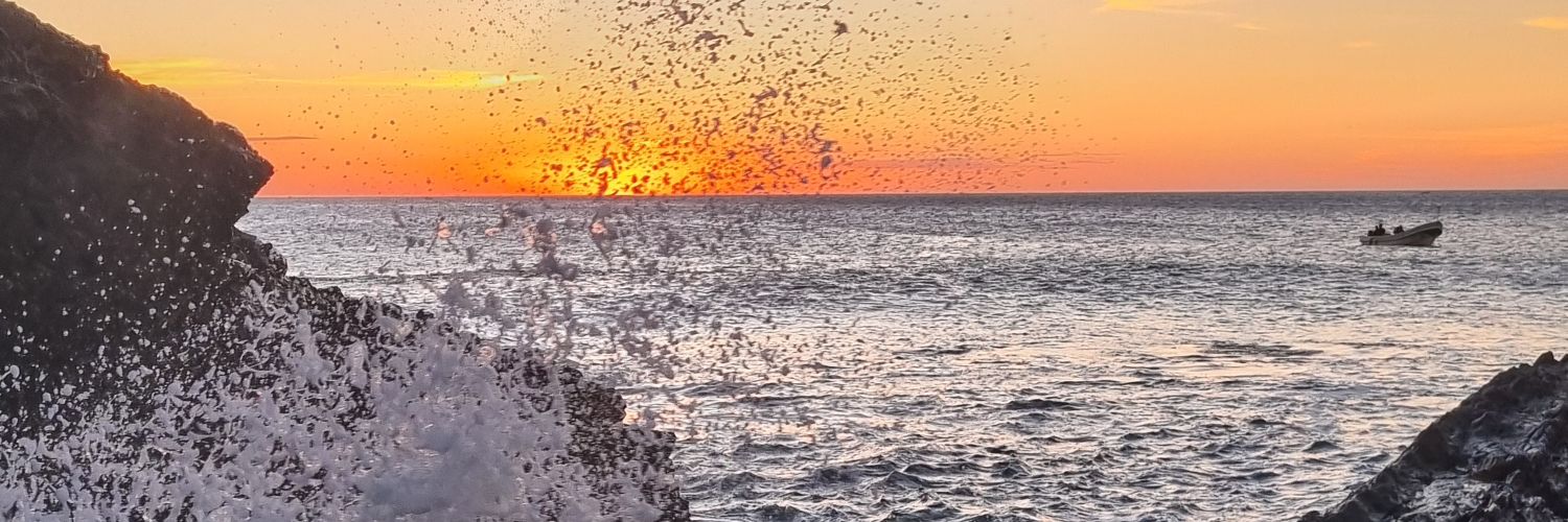 RMlc92's profile banner image