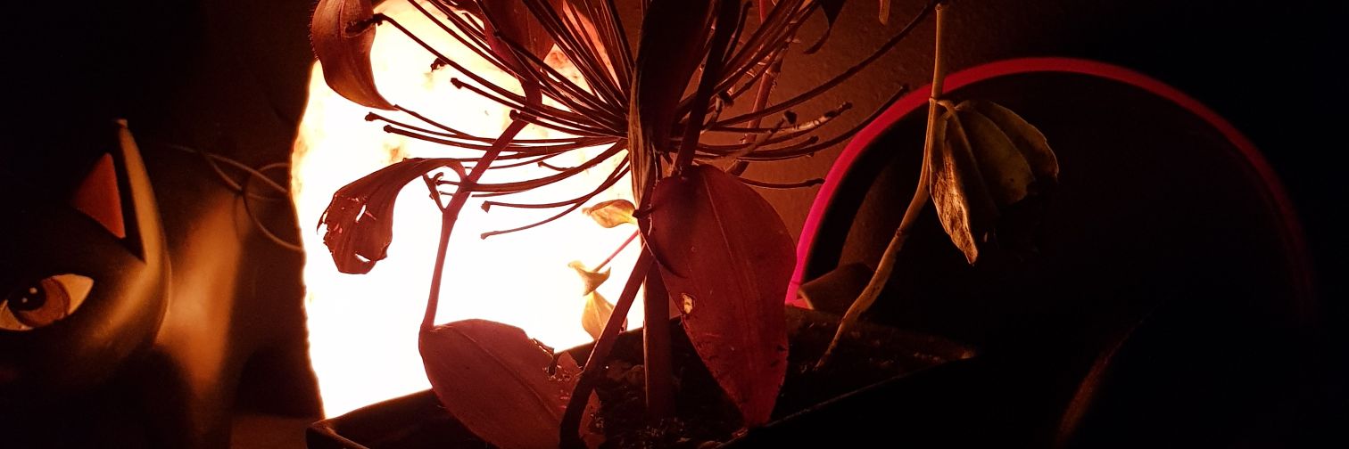 Zlexor's profile banner image