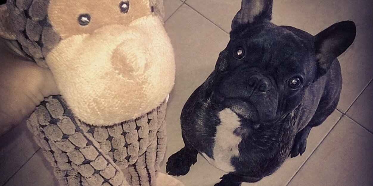 Vansjuls's profile banner image