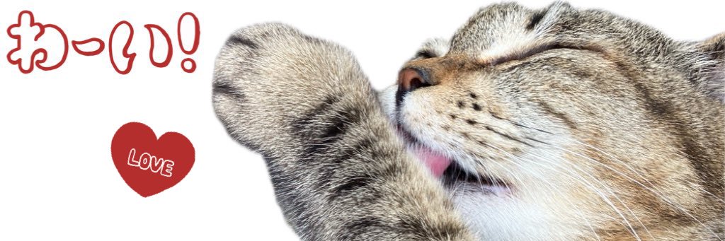 Papua222s's profile banner image