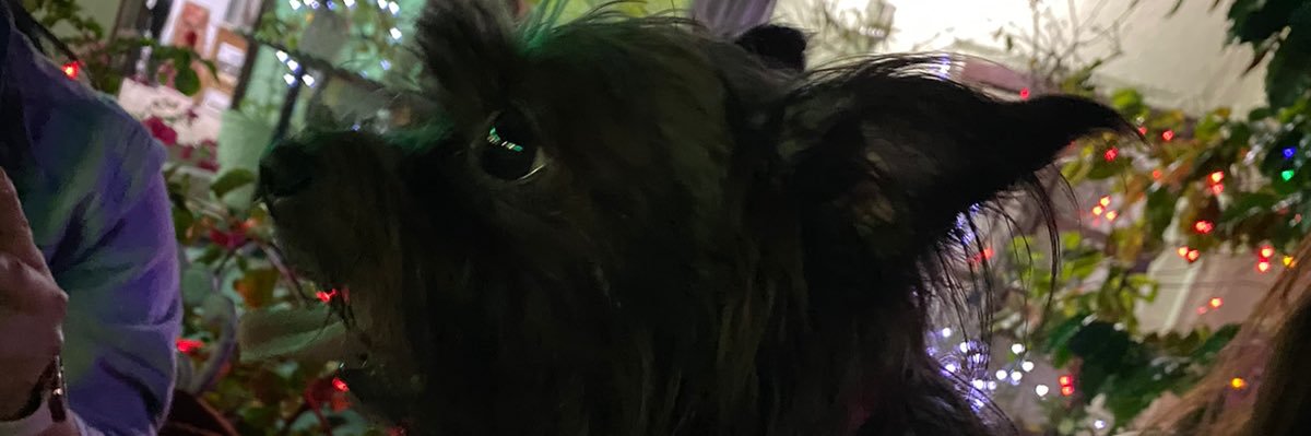 monny_vbarrera's profile banner image