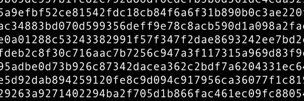 CryptoPuca Profile Banner