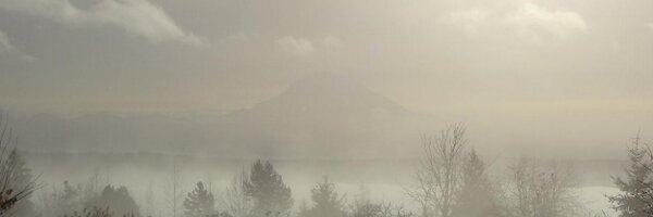 hazardlm Profile Banner