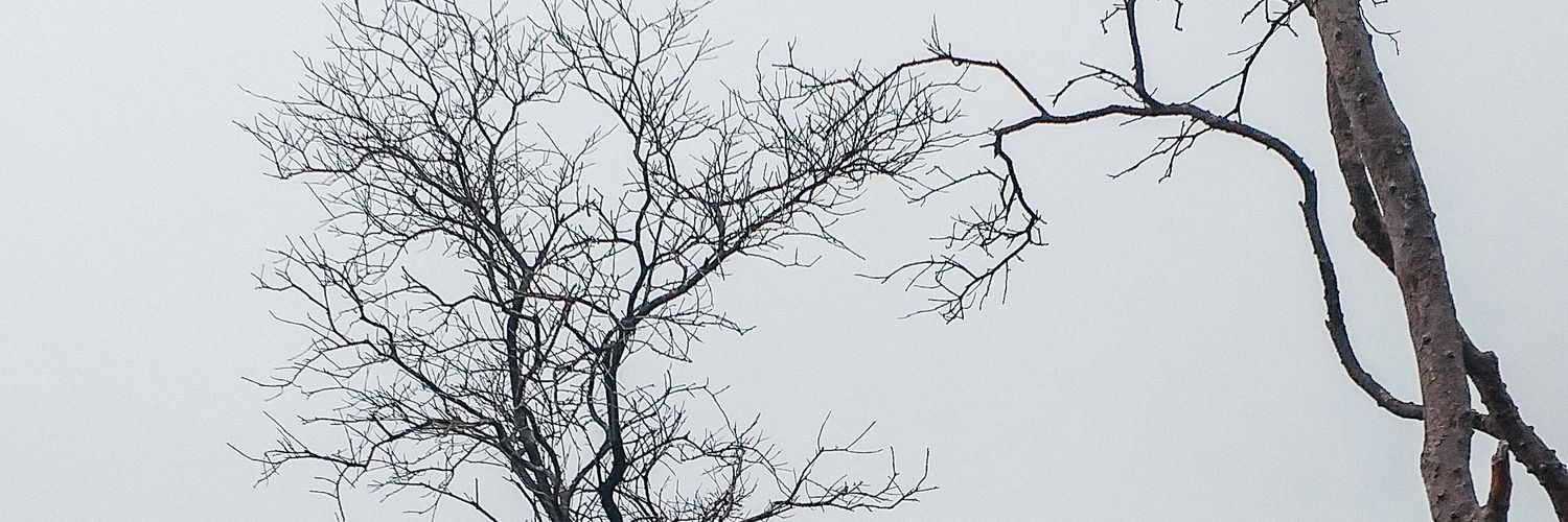 meipsr_'s profile banner image