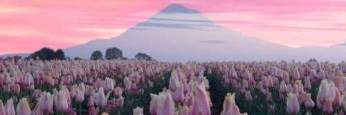 Rico_valery's profile banner image