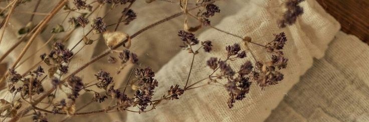 yournapqueen_'s profile banner image