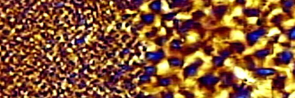 LabPimm Profile Banner