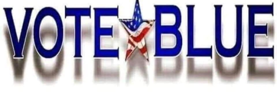 Vote_Blue_ALWAS's profile banner image