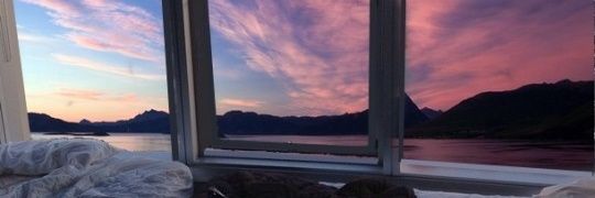 mgnsxchrs's profile banner image