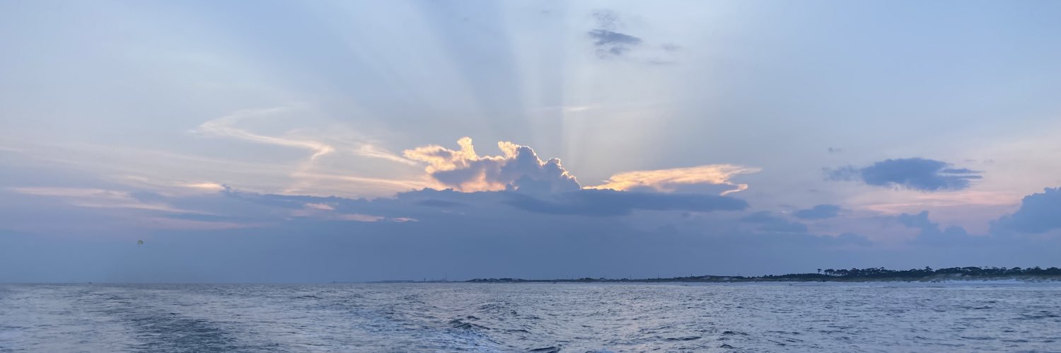 Michael T. Mentor banner