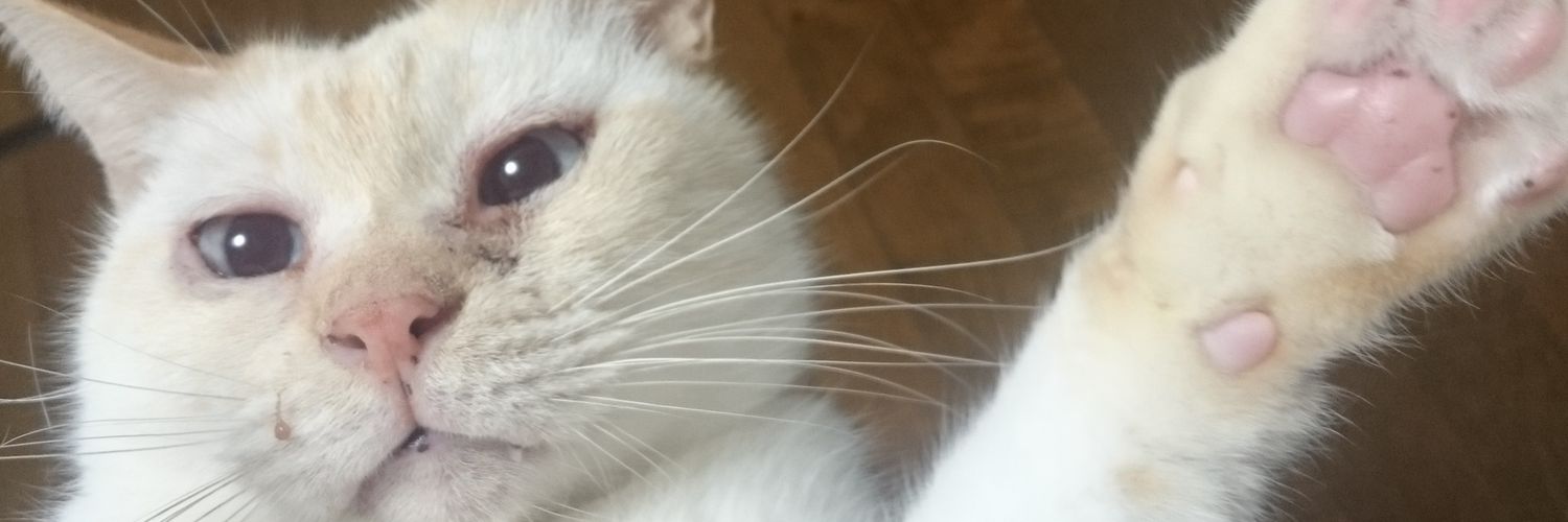 qrag_666's profile banner image